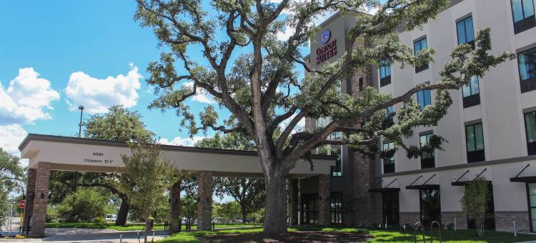 南奥斯汀舒适套房酒店(Comfort Suites - South Austin)图片