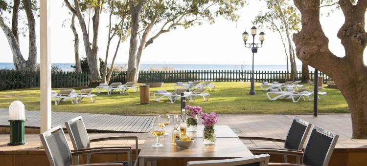 玫瑰海滩酒店(Hotel Roses Platja)图片