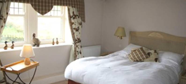 橄榄树分馆旅馆(The Olive Branch Inn)图片