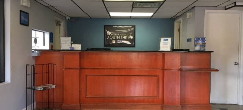 南坦帕套房酒店(Hotel South Tampa & Suites)图片