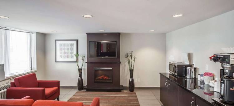 西埃德蒙顿舒适酒店(Comfort Inn West)图片