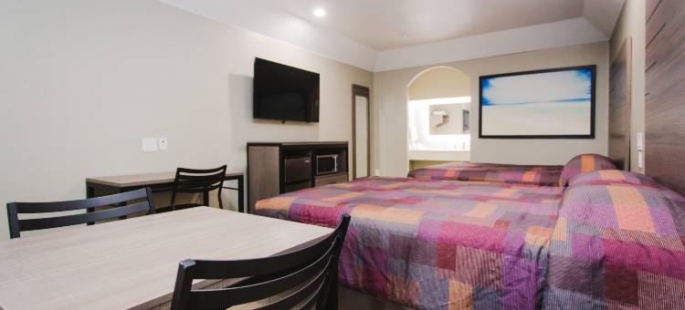 环城公路8号和西景宫殿酒店(Palace Inn Beltway 8 & Westview)图片