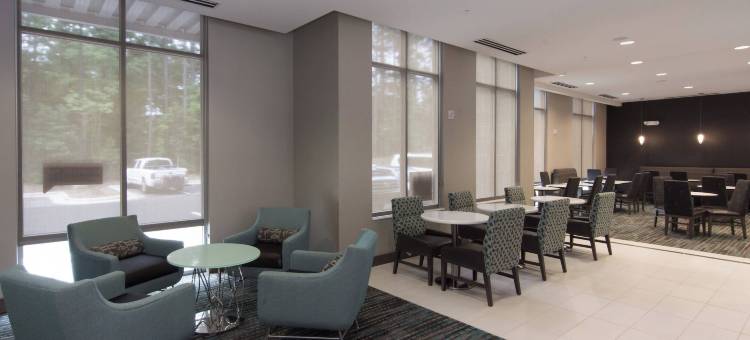 罗利-达勒姆机场/布赖尔溪居家酒店(Residence Inn Raleigh-Durham Airport/Brier Creek)图片
