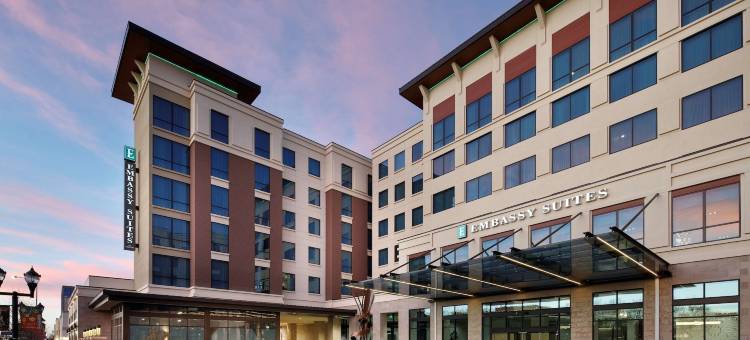 阿马里洛市中心希尔顿安泊酒店(Embassy Suites by Hilton Amarillo Downtown)图片