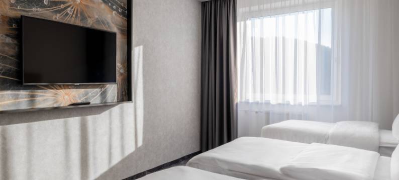 布尔诺奥雷阿会议酒店(Orea Congress Hotel Brno)图片