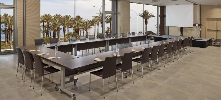 阳光海岸美利亚酒店(Melia Costa Del Sol)图片