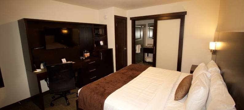 鹅卵石酒店 - 锡拉丘兹寄宿者套房酒店(Boarders Inn & Suites by Cobblestone Hotels - Syracuse)图片