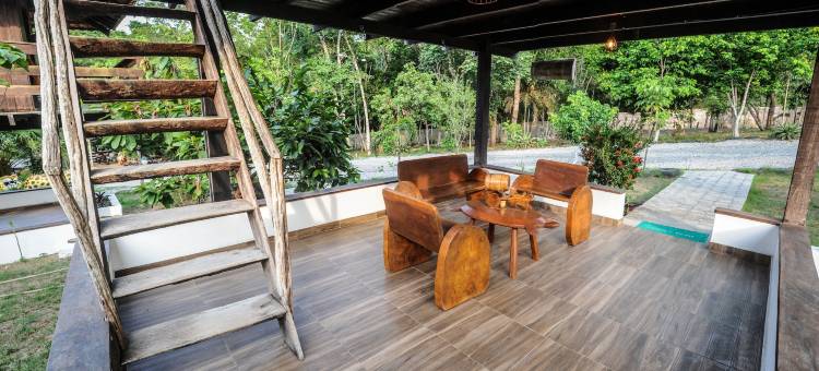 亚马逊旅馆(Boutique Amazonia Hotel Restaurante)图片
