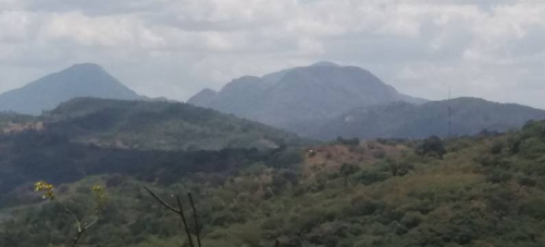 那朗达放松露营地酒店(Nalanda Relaxation and Caping Site)图片