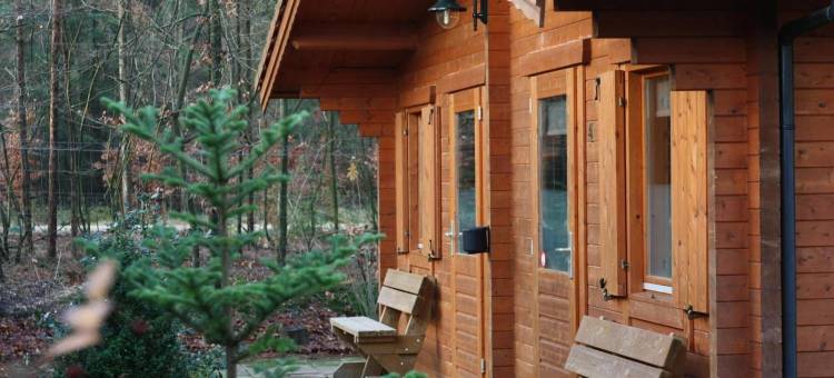 费卢沃塞波特旅店(Lodges Veluwse Poort)图片