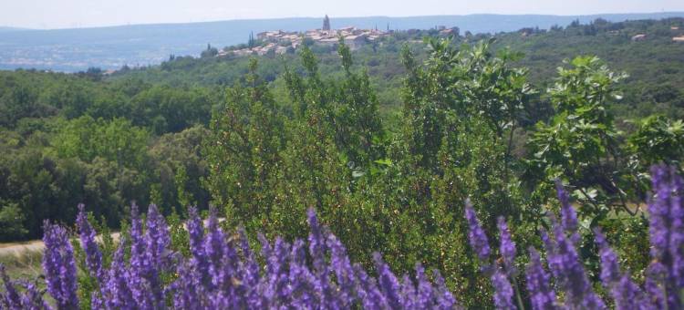 埃斯普拉纳旅馆(Les Esplanes)图片