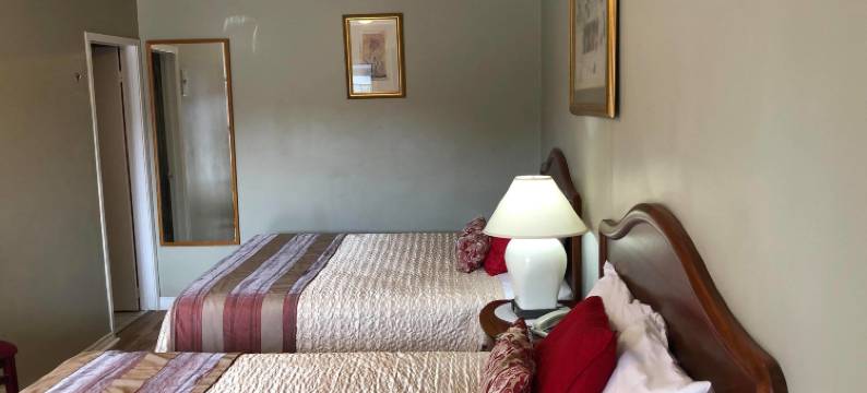 尼亚加拉汽车旅馆(Niagara Inn & Suites)图片