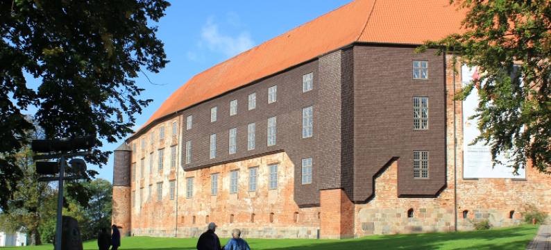 科尔丁体育酒店(Kolding Sportel)图片