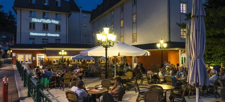 贝丽维酒店(Hotel Belle Vue)图片