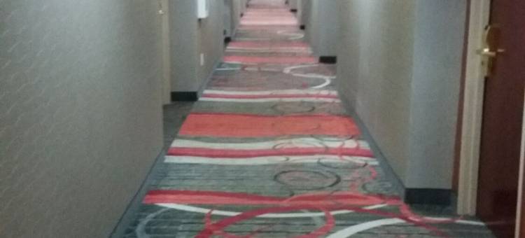 智选假日套房酒店沃特福德(Holiday Inn Express & Suites Waterford)图片