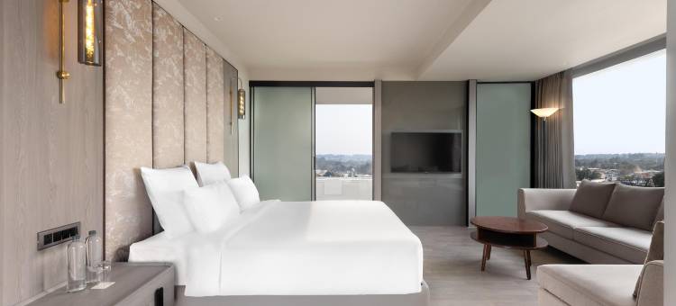 昌迪格特里布乔克诺美居酒店(Mercure Chandigarh Tribune Chowk)图片