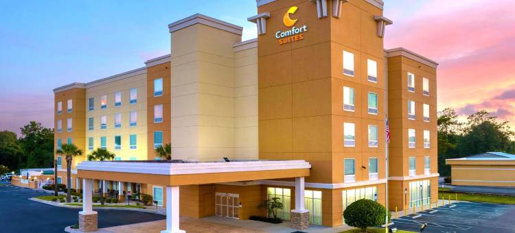 湖城舒适套房酒店(Comfort Suites Lake City)图片