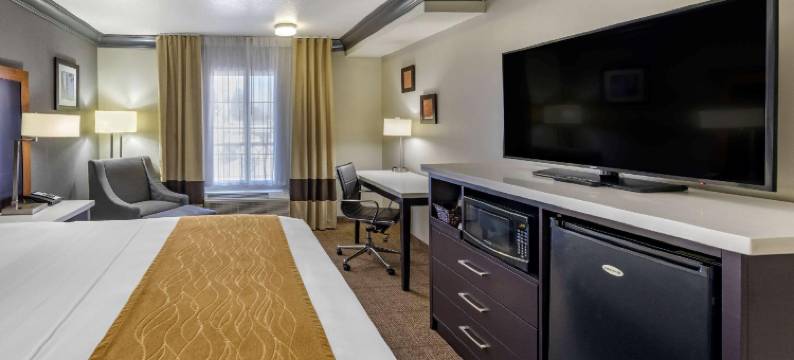 好莱坞伯班克近环球舒适套房酒店(Comfort Inn & Suites Near Universal - N Hollywood - Burbank)图片