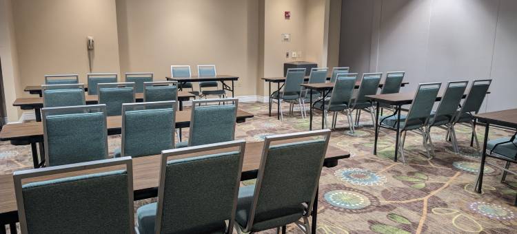 Holiday Inn 代尔 - 会议中心(Holiday Inn Carbondale-Conference Center)图片