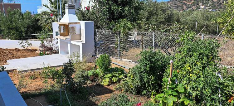 伊菲杰尼娅别墅(Villa Ifigenia)图片