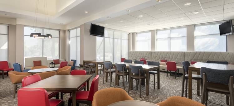 斯科特斯德北外围中心希尔顿花园客栈(Hilton Garden Inn Scottsdale North/Perimeter Center)图片