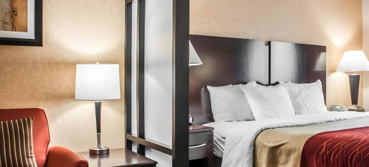 凯艺酒店(Quality Inn)图片