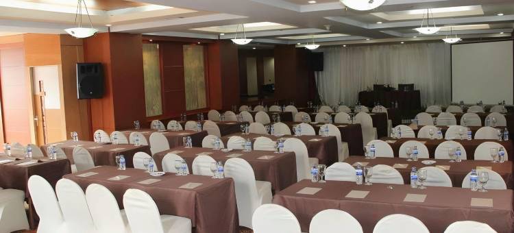 阿巴迪套房酒店和占碑大厦-特里塔马酒店(Abadi Suite Hotel & Tower)图片