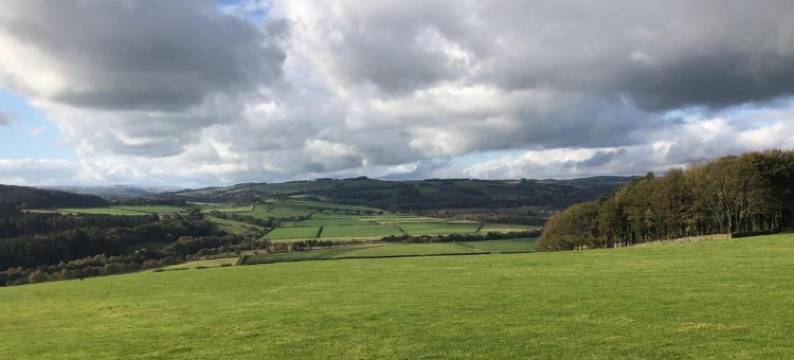 Cabin in Suffolk with Accessible Features图片