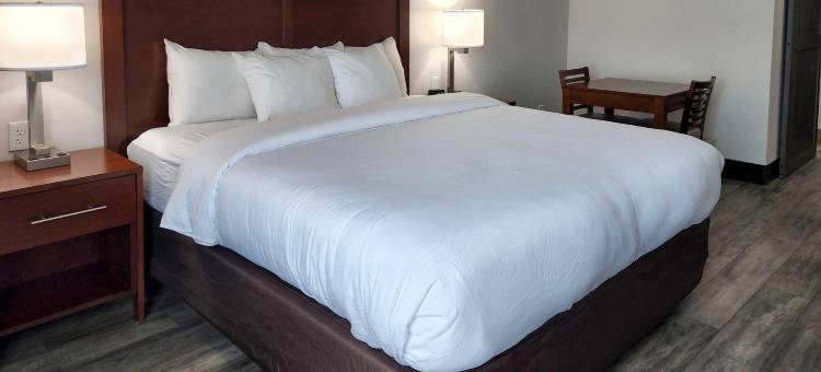 贝梅度斯靠近巴特勒大道舒适套房酒店(Comfort Suites Baymeadows Near Butler Blvd)图片