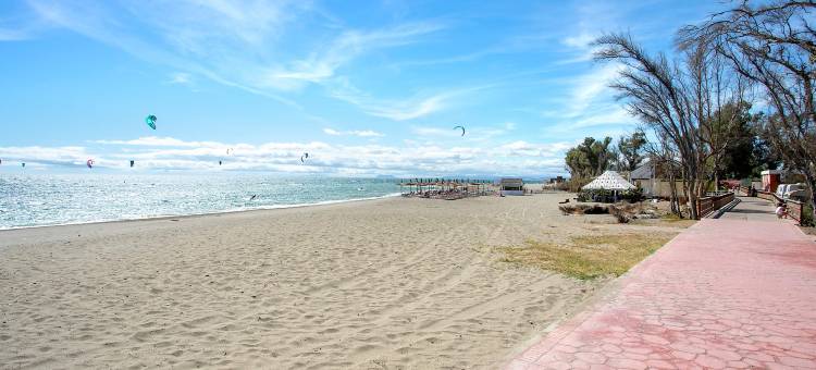 Bright apartment front of beach. Guadalmansa Beach图片