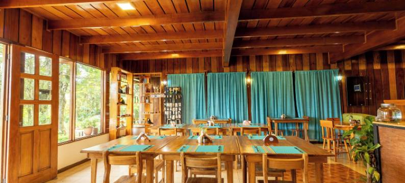 蒙特贝尔德霍利斯蒂科酒店(Hotel Holístico Monteverde)图片