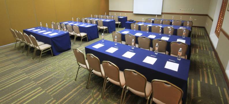 蒙克洛瓦假日酒店(Holiday Inn MONCLOVA by IHG)图片