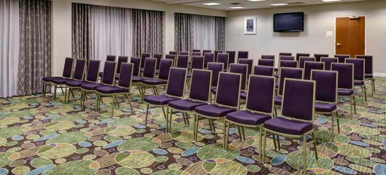 富兰克林假日酒店 - 冷泉(Holiday Inn FRANKLIN - COOL SPRINGS by IHG)图片