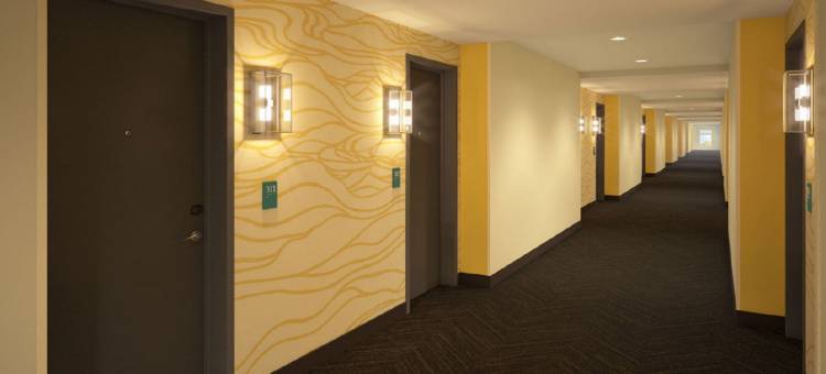 洲际酒店集团锡达福尔斯假日酒店及套房 - 滑铁卢活动中心(Holiday Inn & Suites Cedar Falls-Waterloo Event Ctr)图片