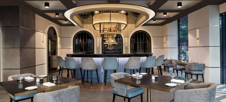 古瓦哈蒂GS路诺富特酒店(Novotel Guwahati GS Road)图片