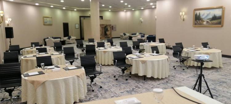 郁锦香欢呼酒店(Golden Tulip Hail)图片