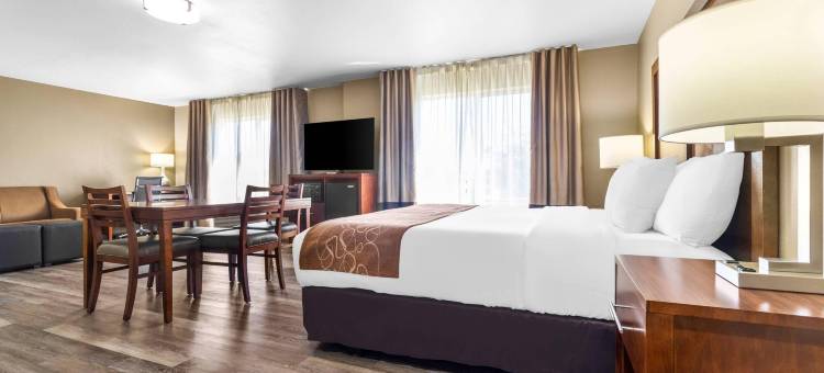 舒适套房酒店(Comfort Suites)图片