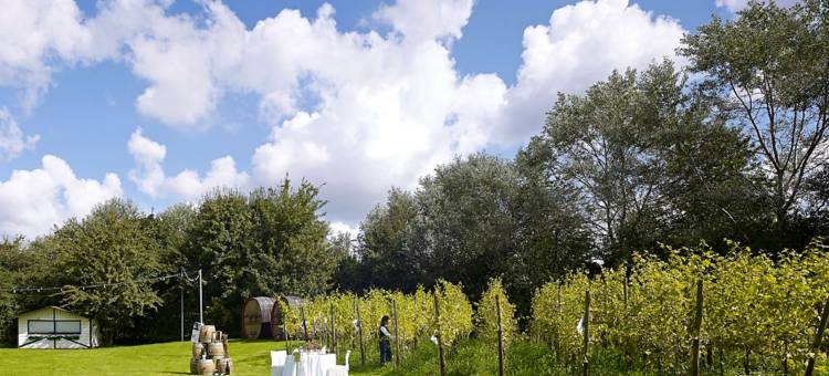 塔冈与喜地美居酒店(Mercure Tagungs & Landhotel Krefeld)图片