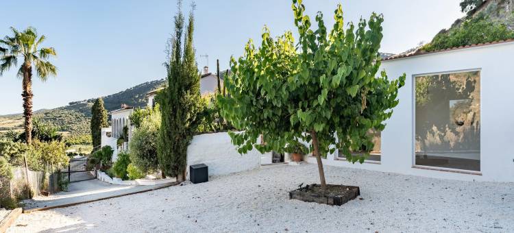Yoga and Relaxation Retreat in the Heart of Nature图片