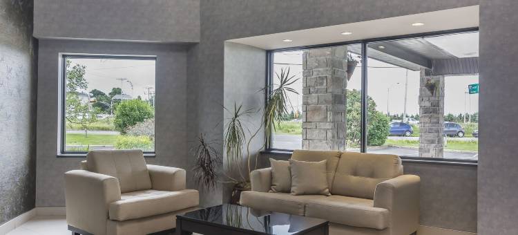 莱维斯舒适酒店(Comfort Inn)图片