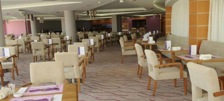 安尼蒙酒店-阿达纳(Anemon Grand Adana Otel)图片