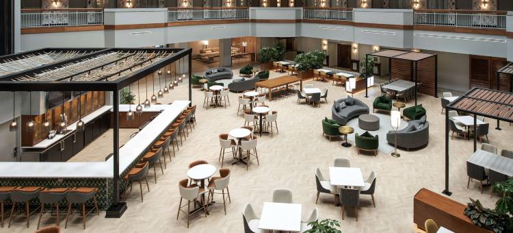 杜勒斯北劳登希尔顿安泊酒店(Embassy Suites by Hilton Dulles North Loudoun)图片