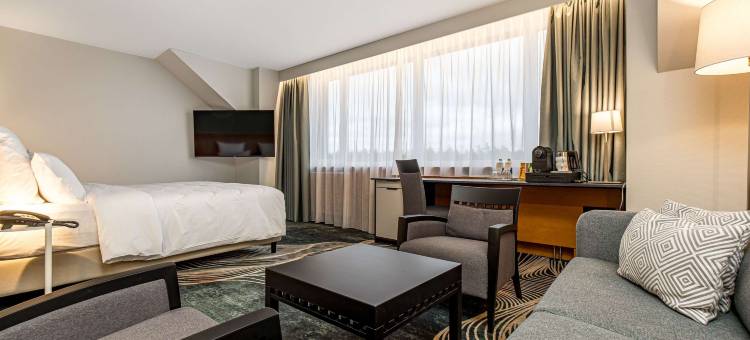 帕兰加瓦纳古普美居度假酒店(Mercure Palanga Vanagupe Resort)图片