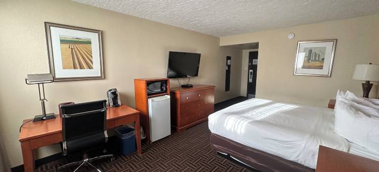 温德姆花园梅迪辛哈特会议中心(Wyndham Garden Medicine Hat Conference Center)图片