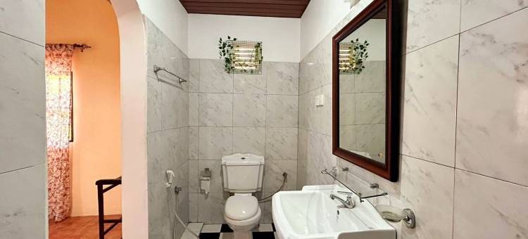 胖美人鱼(The Fat Mermaid)图片