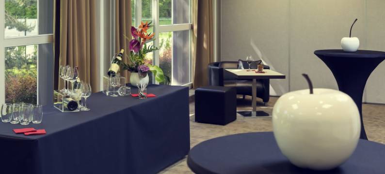 美居斯特拉斯堡机场酒店(Hôtel Mercure Strasbourg Aéroport)图片