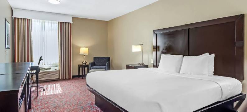 北查尔斯顿-诺斯伍兹舒适套房酒店(Comfort Inn & Suites North Charleston - Northwoods)图片