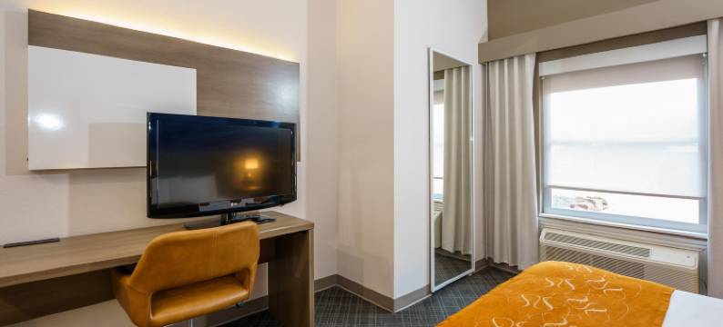 大学路舒适套房酒店(Comfort Suites University Drive)图片