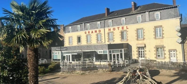 格兰特酒店(Le Grand Hôtel de Mayenne - Logis hôtels Restaurant)图片