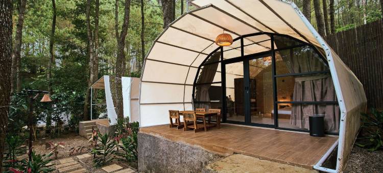 豪瑞森的邦加伦根豪华露营地(LuxCamp Pangalengan by Horison)图片